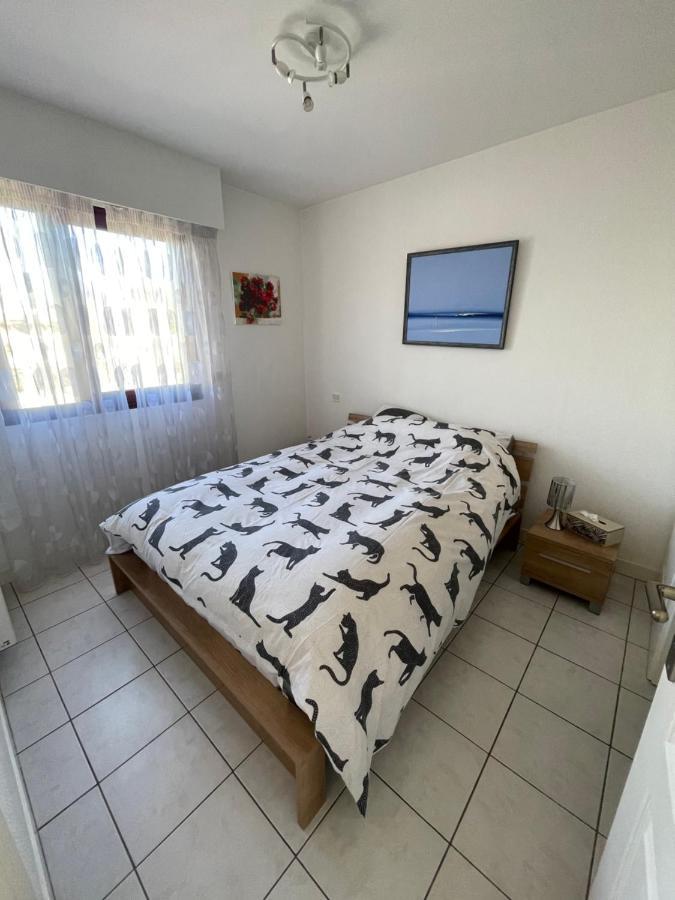 7Mn From The Center/ Pool/Parking Daire Cannes Dış mekan fotoğraf
